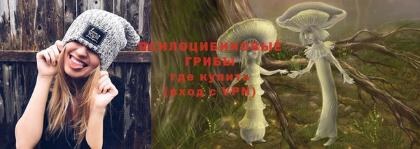 не бодяженный Арсеньев