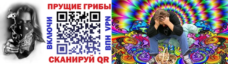Псилоцибиновые грибы мицелий  Тейково 